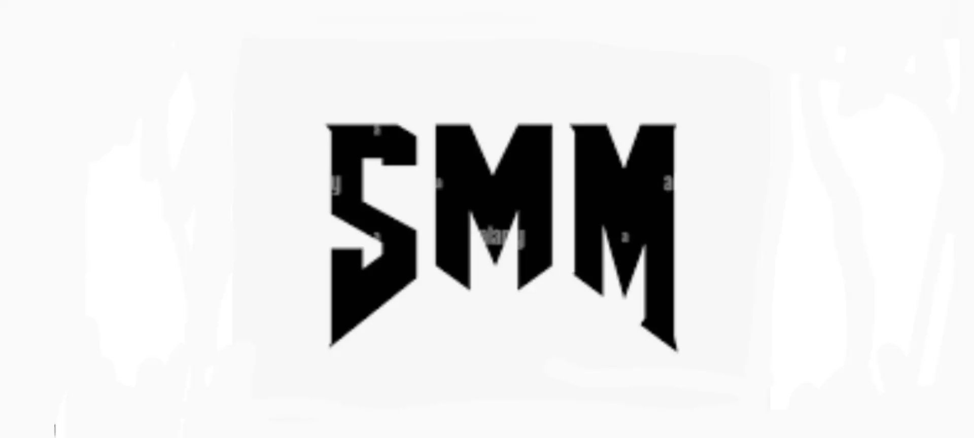 Steiner Media Marketing